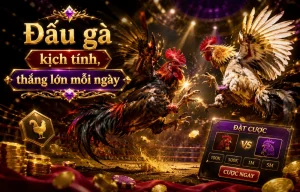 Sảnh Đá Gà mymarketingworx
